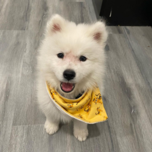 MAX / MALE